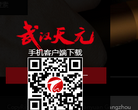 武汉天元
